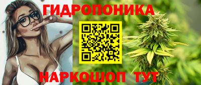 ECSTASY Боровичи