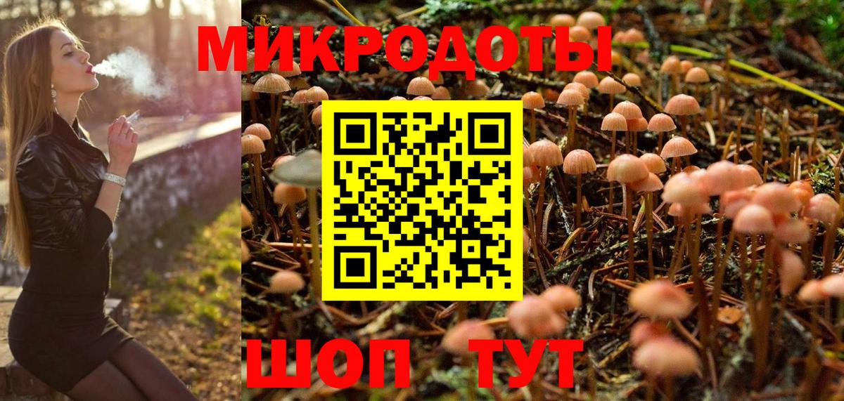 Прохладный  Псилоцибиновые грибы Magic Shrooms  Вход с VPN 